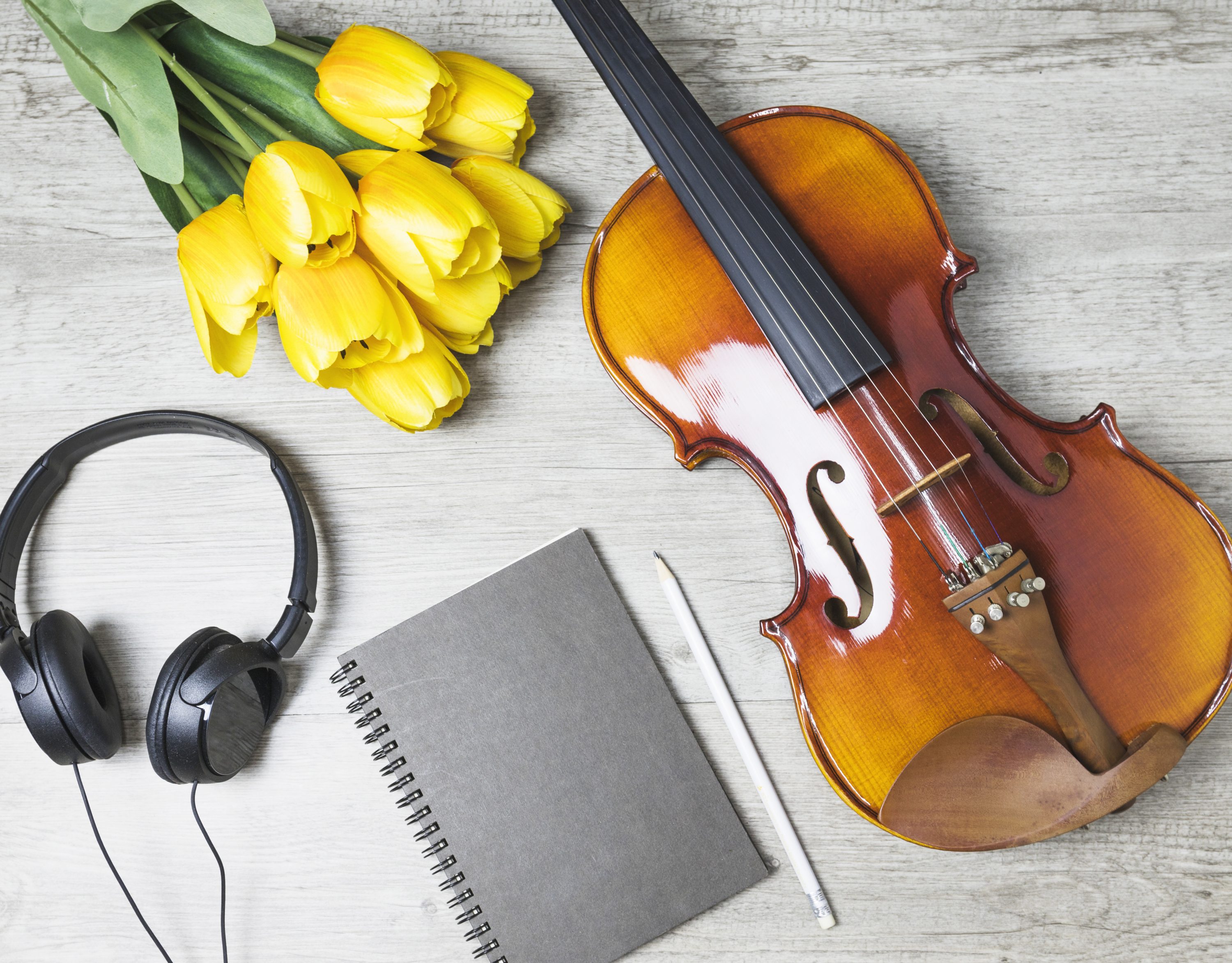overhead-view-tulips-diary-pencil-violin-wooden-background